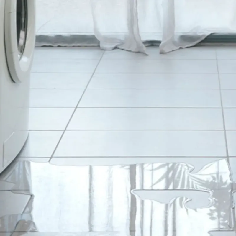 Appliance Leak Cleanup in Hampton, IL