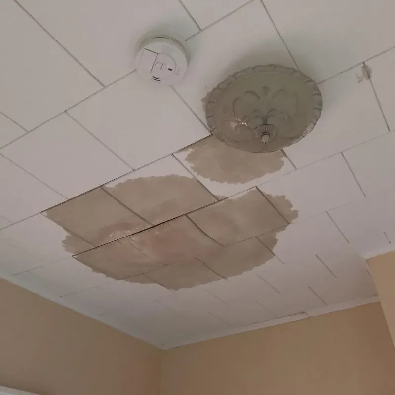 Ceiling Water Damage Repair in Hampton, IL