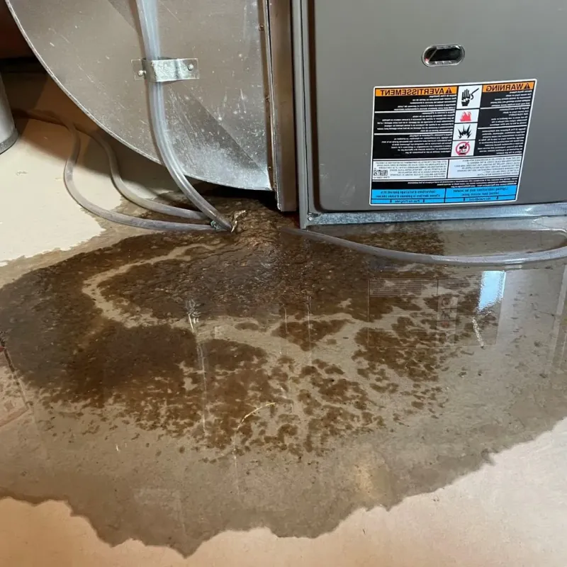 Pipe Burst and Leak Restoration in Hampton, IL