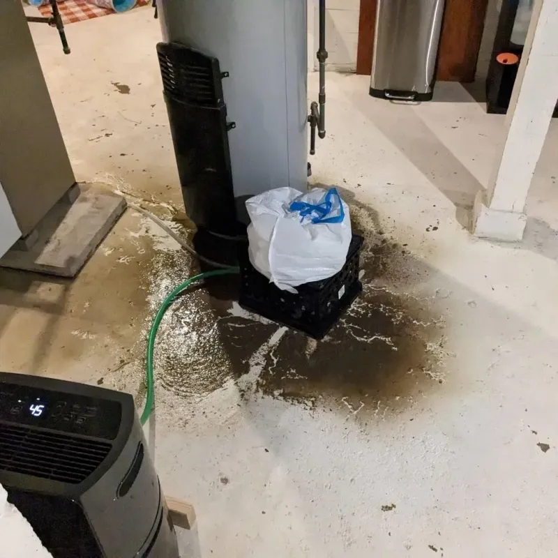 Sewage Backup Cleanup Service in Hampton, IL